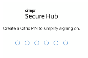 Create a Citrix PIN